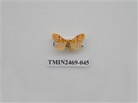 藏品(梯紋豔苔蛾)的圖片